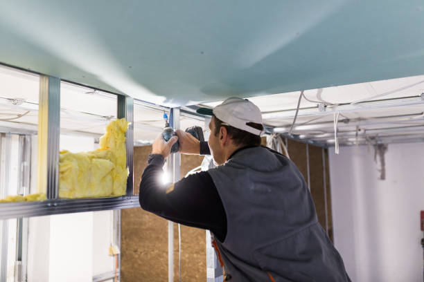 Best Energy Efficiency Insulation in Mosheim, TN