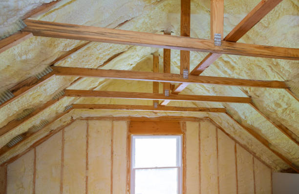 Best Geographic-Specific Insulation Services in Mosheim, TN