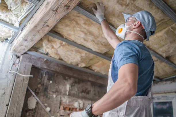 Best Insulation for Specific Applications in Mosheim, TN