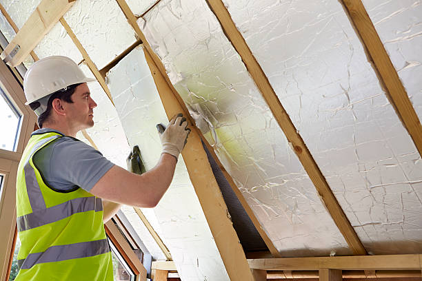 Best Cellulose Insulation in Mosheim, TN